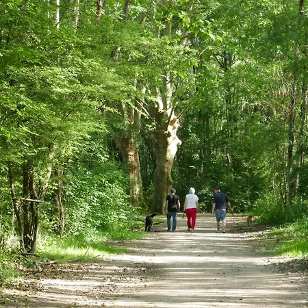 Grand T3 Rue Pietonne Bureau Et Terrasse Lejlighed